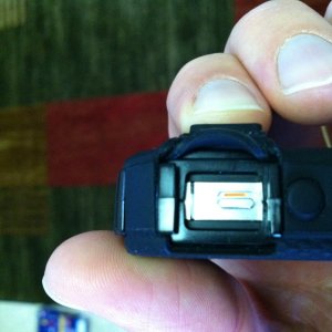 photo 3.JPG