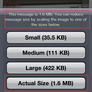 photo.PNG