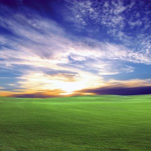 NATURE-SunsetBlissII_1600x1200.jpg