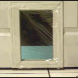 cat-door.jpg