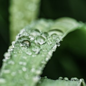 21A647C6-73E9-4D59-B46A-45C60533745C.jpeg