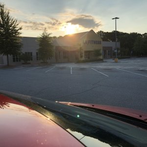 IMG_4986.jpg