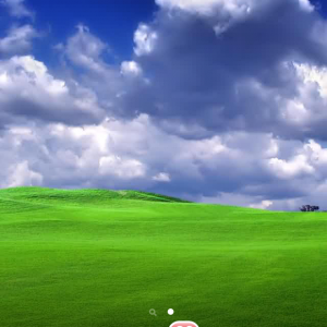photo.PNG