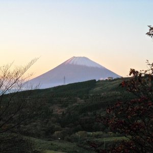 fuji.jpg