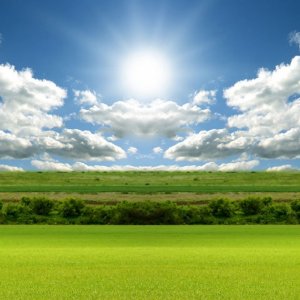 Sun.jpg