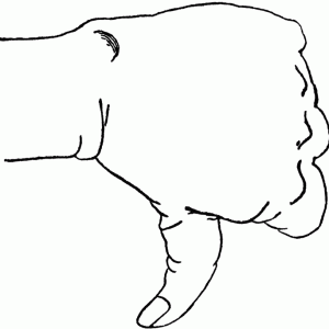 52557_thumbs_down_lg.gif