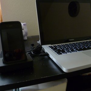 P1000725.JPG