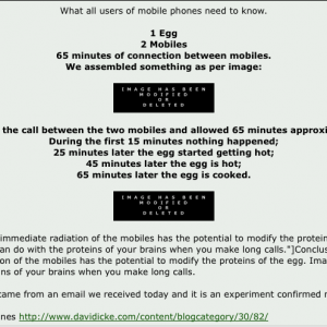 Screen shot eggcook.png