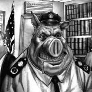 PIGS.jpg