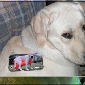 the-case.jpg