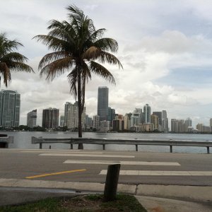 IMG_0009.jpg