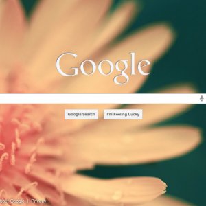 google.jpg