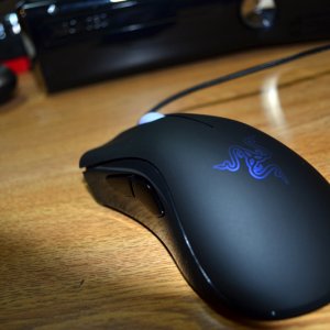 mouse.jpg
