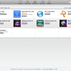 lion.jpg