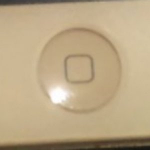1-1432133578-500x784.jpeg