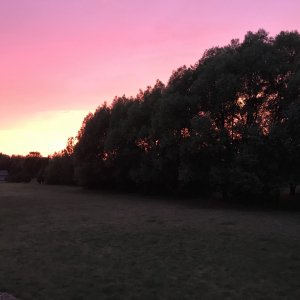 19C4C4FC-01DA-442E-A788-BDC83366BC98.jpeg
