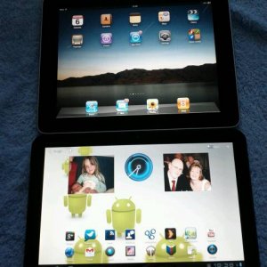 2011 - 1.jpg