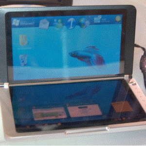 dualscreen.gif