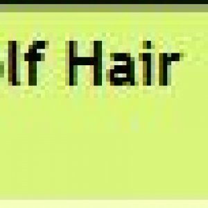 Chiodos-Modern Wolfhair.JPG