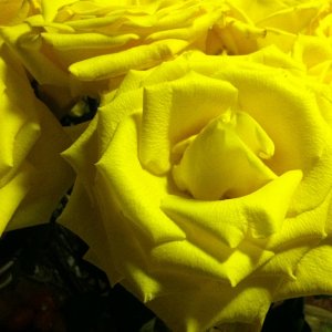 IMG_0032.JPG