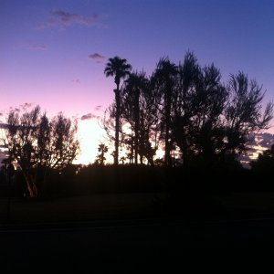 IMG_3032.jpg