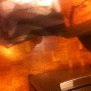 2011 10 06 016.jpg
