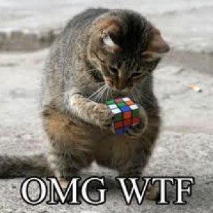KittyWantsToTradeInHisRCube.jpg