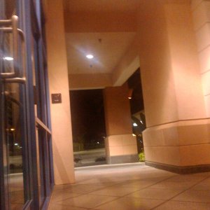 CIMG0007.jpg