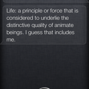 IMG_2636.PNG