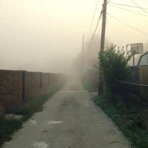 photo 1.jpg