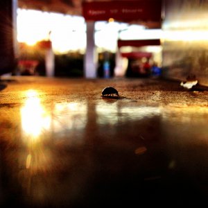 IMG_0257.JPG