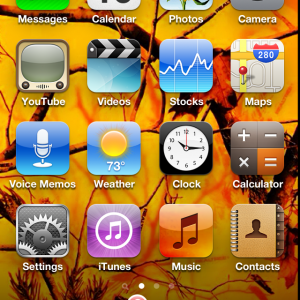 Photo Nov 10, 11 01 02 AM.png