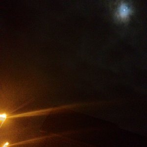 ImageUploadedByTapatalk1321217037.005708.jpg