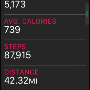 steps.png