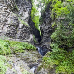 upthesteps_11280.jpg