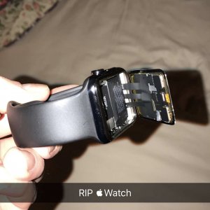 732968E1-5388-46F1-9BF5-2901CB9B8407.jpeg