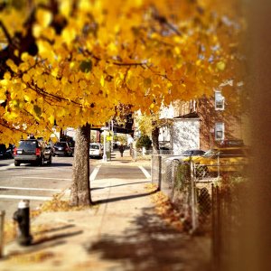 IMG_1027.jpg