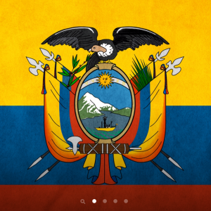 photo 1.PNG