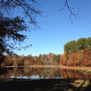 Belk Scout Camp.jpg