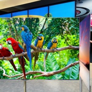 lg-55-inch-oled-tv0120120102084751728.jpg