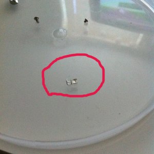 photo.jpg
