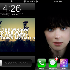IMG_0977.PNG