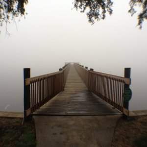 fog.JPG