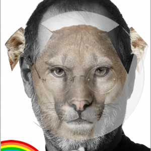 stevecat.png