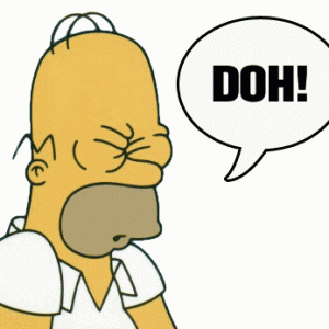 homer-simpson-d-ohs-the-simpsons-26576158-450-347.gif