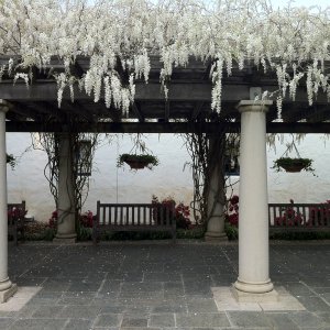 IMG_0860.JPG