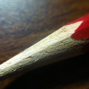 IMG_1207.jpg