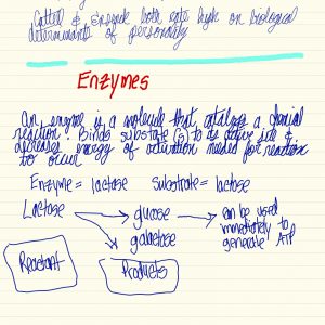 IMG_0019.PNG