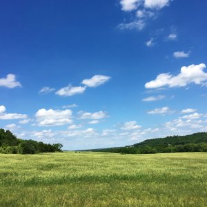 IMG_0362 3.jpg