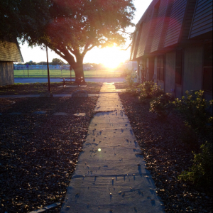 IMG_5036.PNG